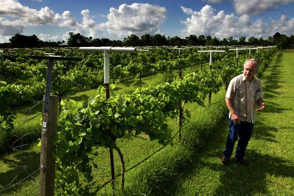 A Little Winery In Santa Fe Is Making A Big Name For Itself Houstonchronicle Com