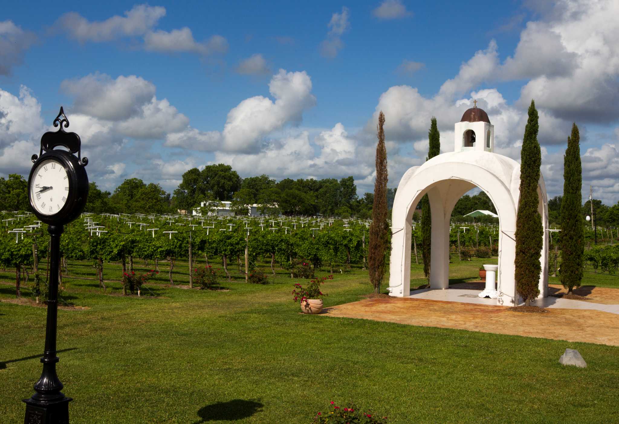 Here are 6 wineries to visit within driving distance of Houston