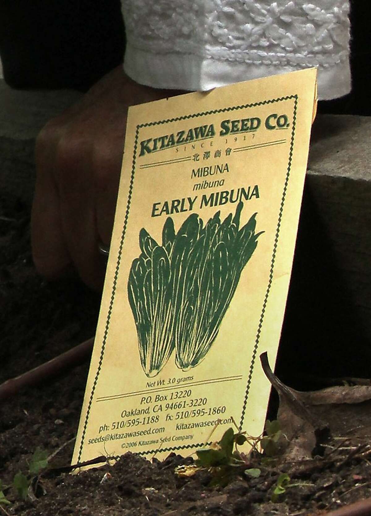 Kitazawa Seed connects cultures, traditional foods