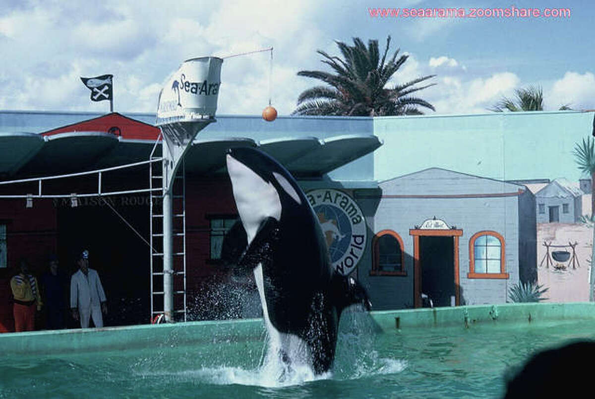 SeaArama in Galveston was an island attraction for decades