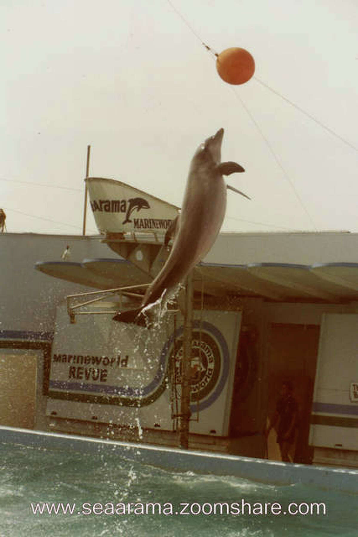 SeaArama in Galveston was an island attraction for decades