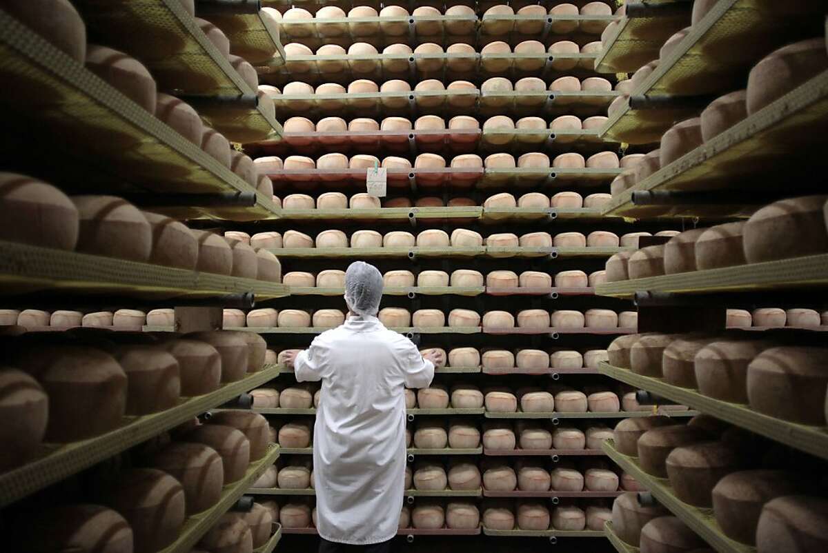A cheesemonger checks mimolette cheese at a production site of the French Isigny Ste Mere company on July 4, 2014 in Isigny-sur-Mere, northwestern France. After more than a tonne of mimolette cheese has been held up in customs for 3 months, US officials have effectively banned the French speciality, calling it putrid and unfit for food. Since March, several hundred pounds of the bright orange cheese have been held up by US customs because of a warning by the Food and Drug Administration that it contained microscopic cheese mites. The mites are a critical part of the process to produce mimolette, giving it its distinctive grayish crust. TOPSHOTS/AFP PHOTO CHARLY TRIBALLEAUCHARLY TRIBALLEAU/AFP/Getty Images