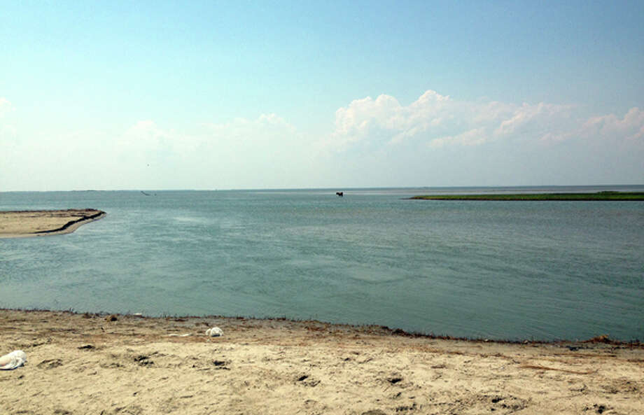 A First For Galveston Beach Patrol Water Rescue Of Cow Houston A First For Galveston Beach Patrol Water Rescue Of Cow