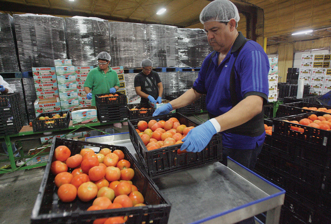 Mexican Produce Flooding The Border