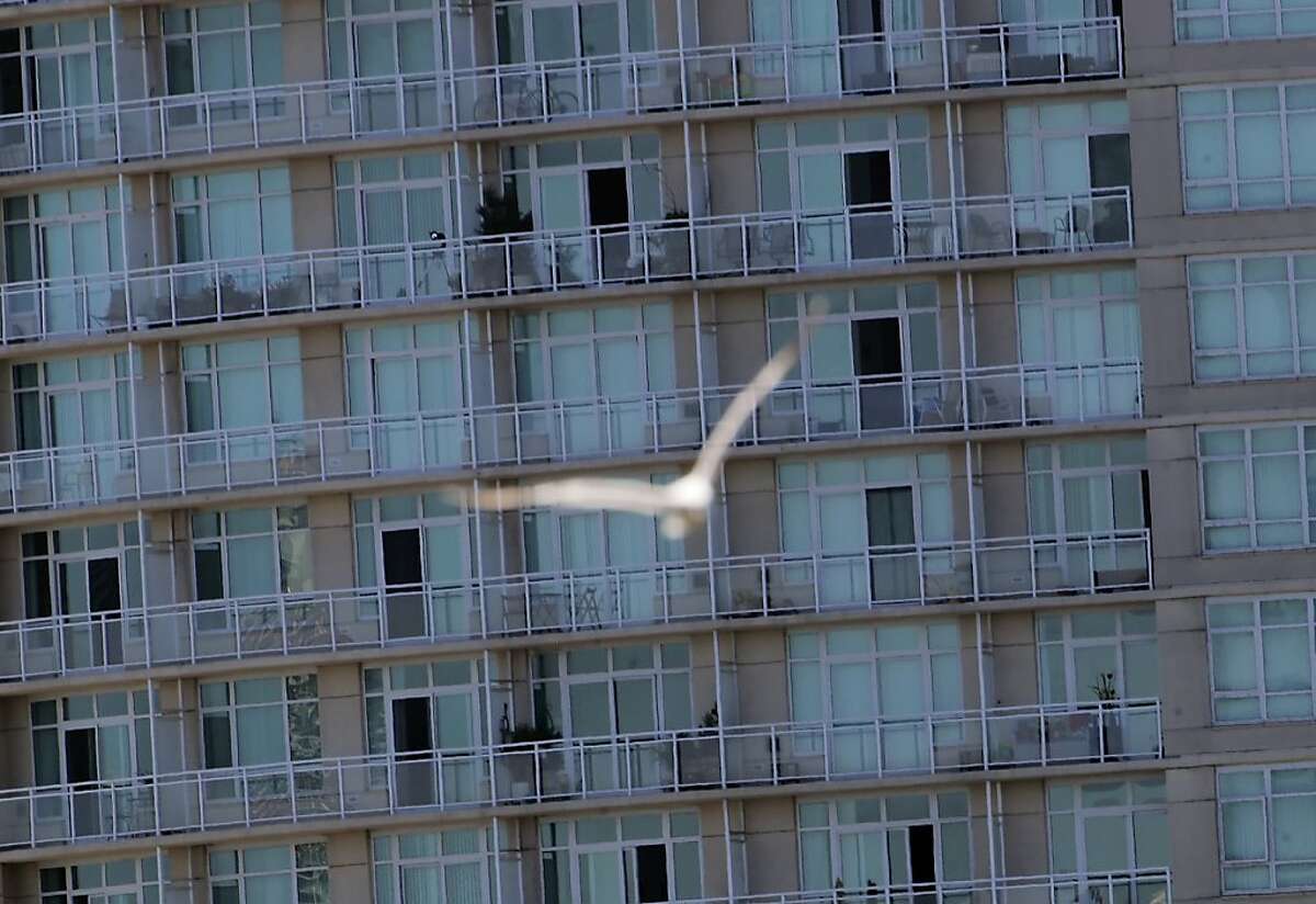 A gull flies by a building near the shore of Lake Merritt in Oakland, Calif., on Thursday, June 27, 2013. Oakland becomes the third city in North America to adopt building standards to protect birds. All new buildings will have to use non-reflective glass, no mirrors, no nighttime lights during migration season and minimal rooftop antennas. This is a big deal because Oakland is a major bird destination, both via Lake Merritt and the Estuary.