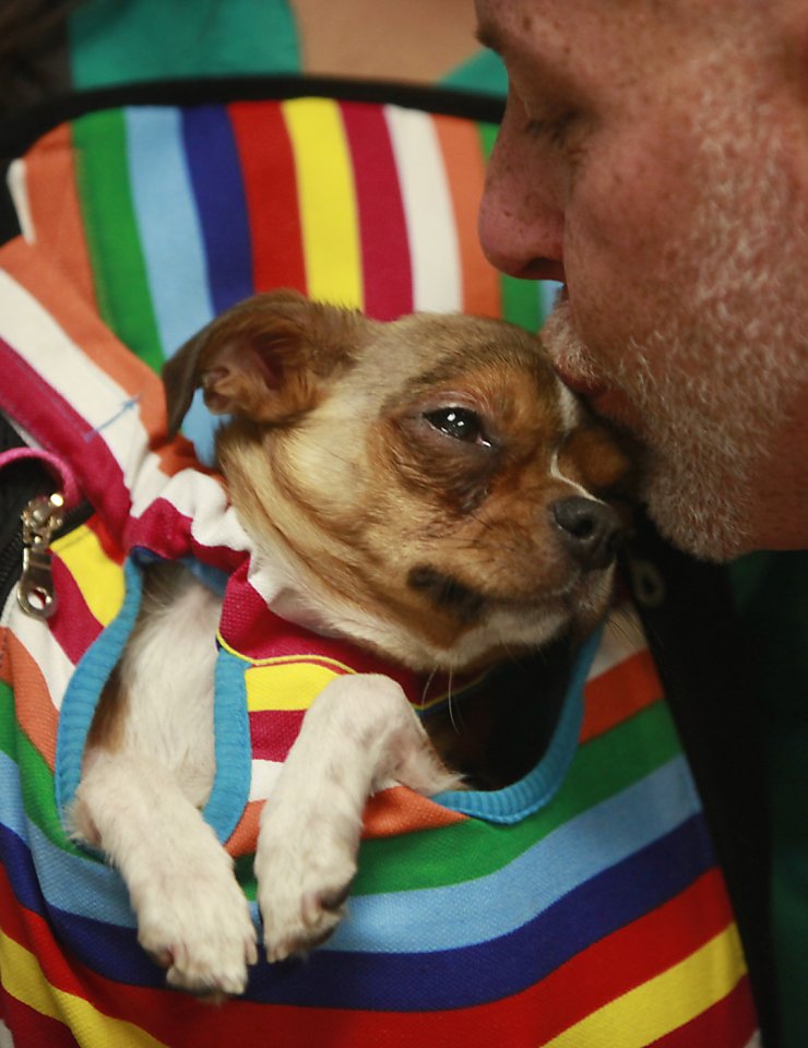Shelter overwhelmed as it saves abused dogs
