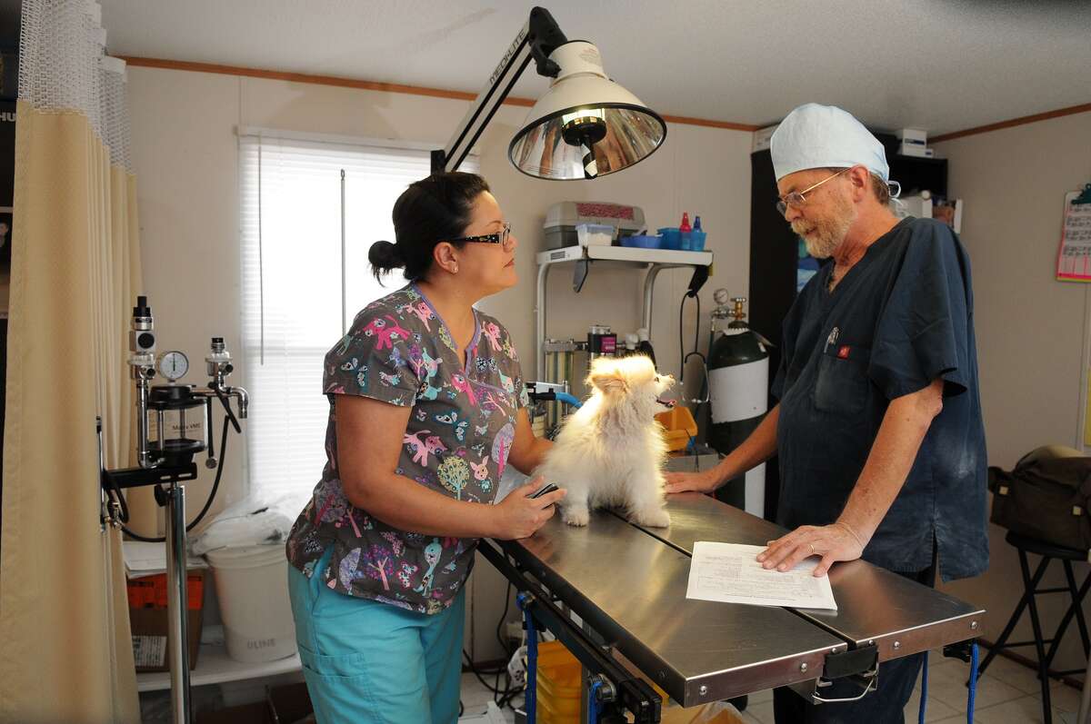 Texas Litter Control to bring spayneuter clinics to outlying areas