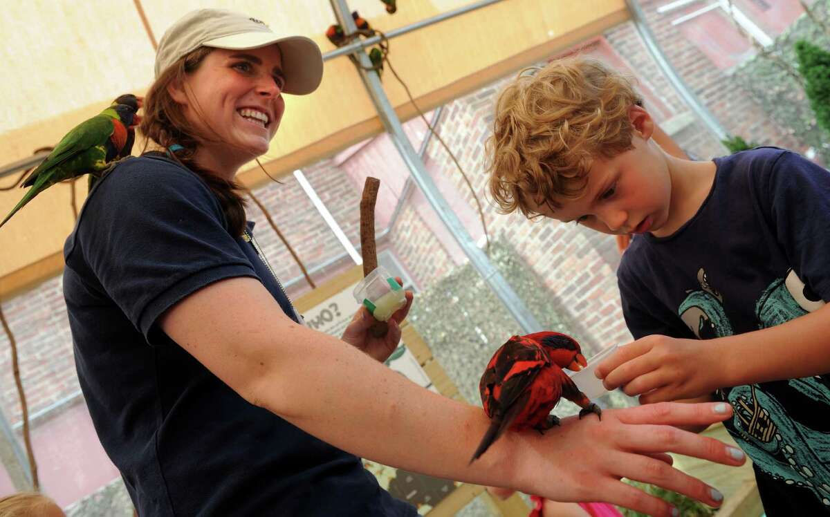 Emilie Geissinger holds out a blue-streaked lory for 6-year-old Patrick Leonard, of Rye, NY, as he feeds it nectar from a cup in the Lorikeet exhibit at the Maritime Aquarium in Norwalk, Conn. Tuesday, July 9, 2013. Geissinger, from Darien, is a rising senior at Bates College and is interning at the Maritime Aquarium and hoping her experiences over the summer will help her decide on a career path.