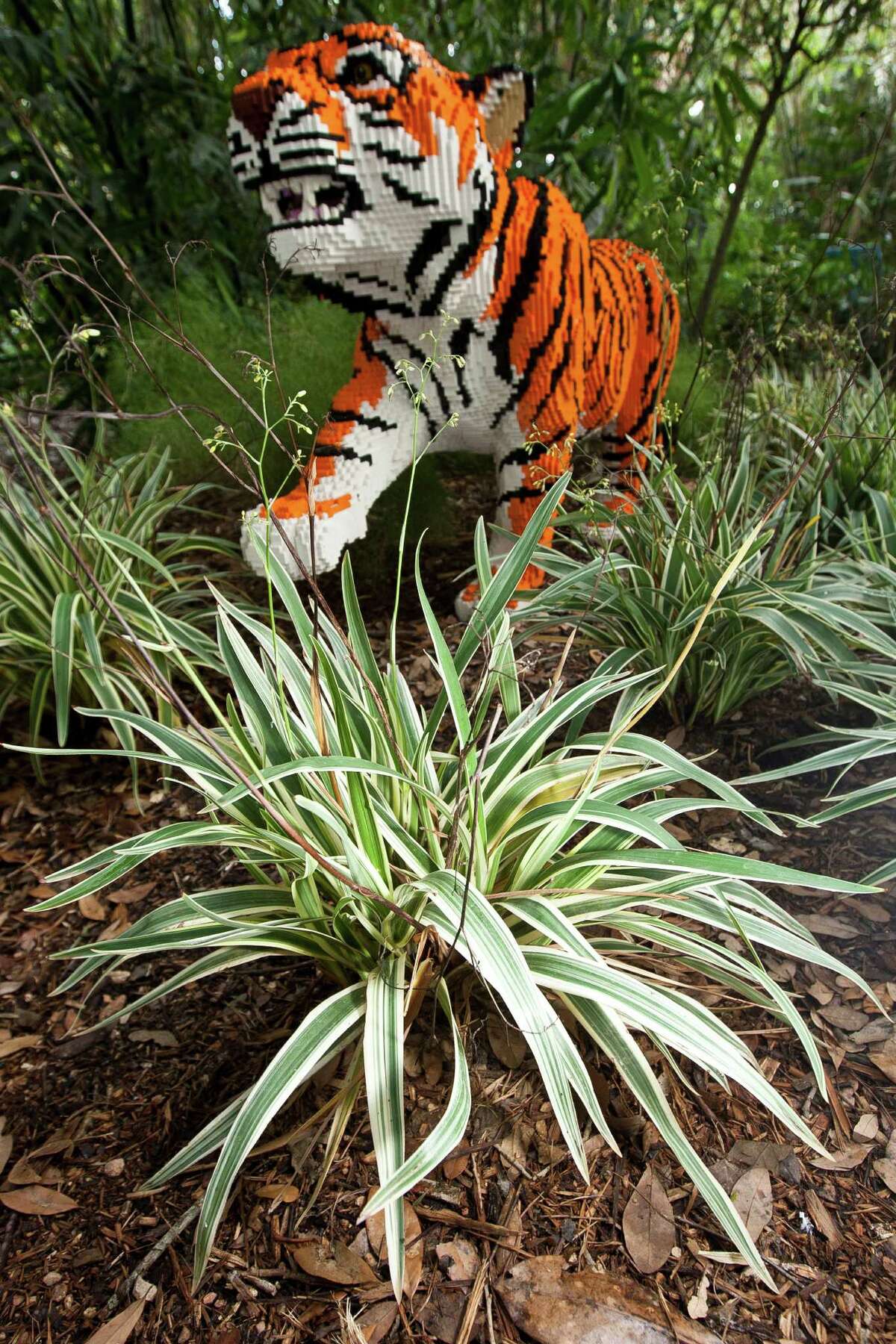 Plants set stage for animals on Lego safari