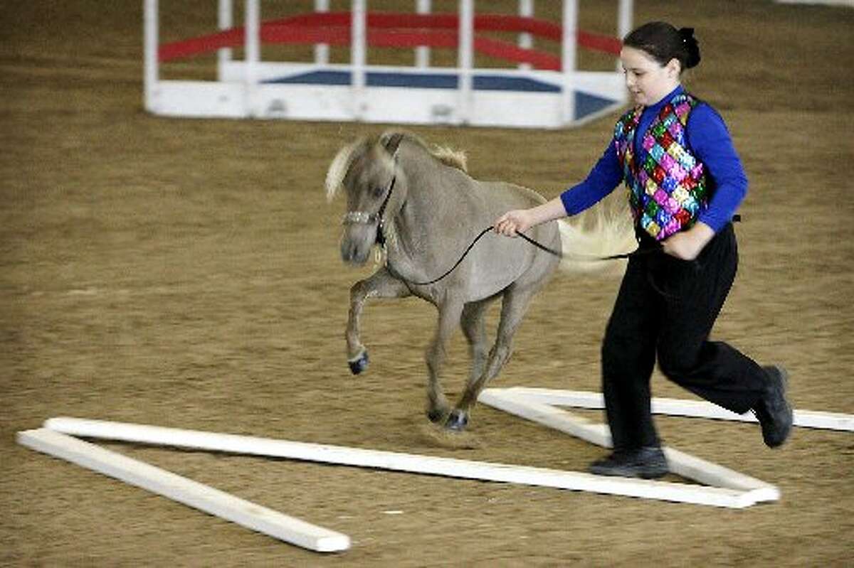 Great Southwest Equestrian Center to feature miniature horse show July