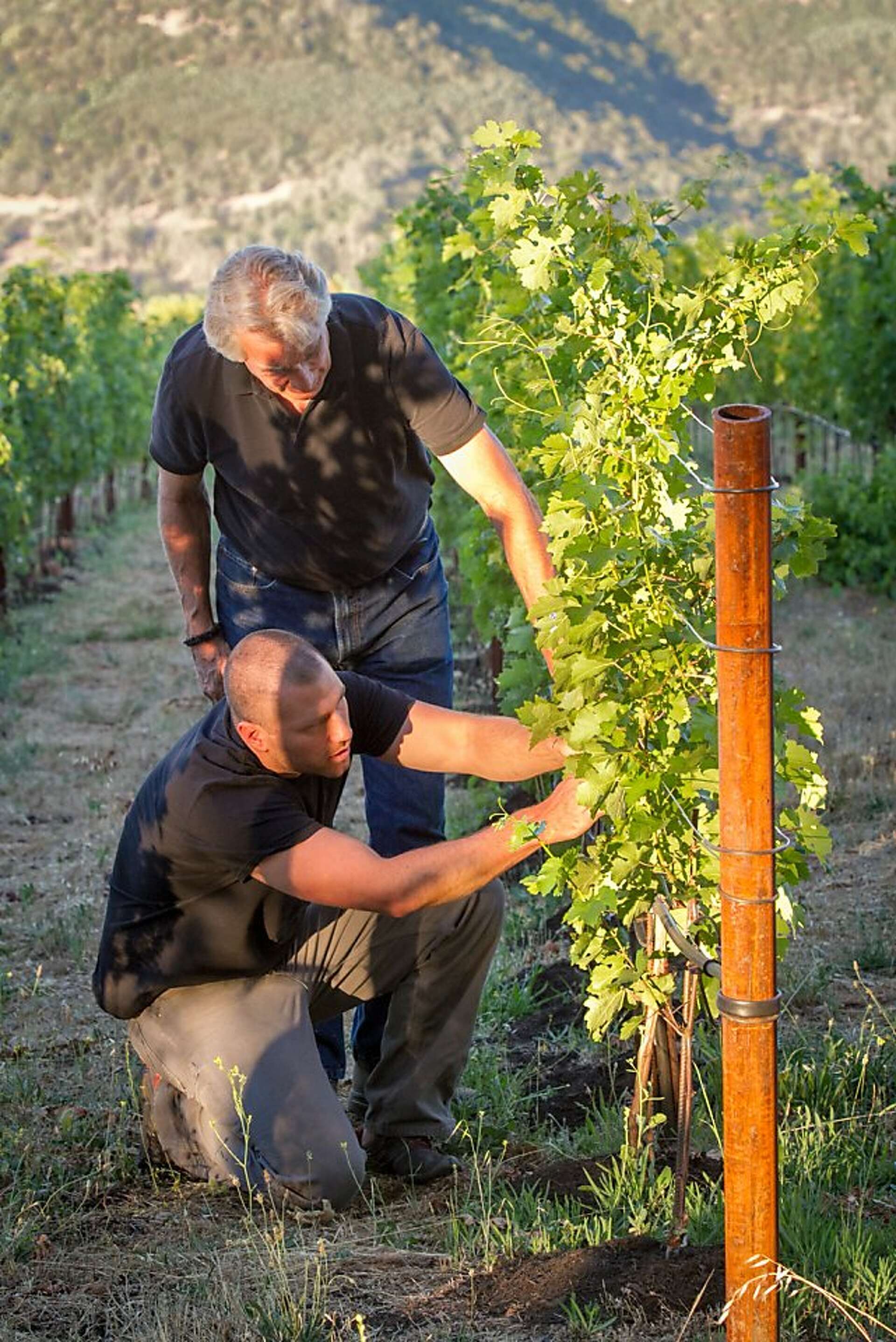 How John Kongsgaard rewrote the rules of white wine