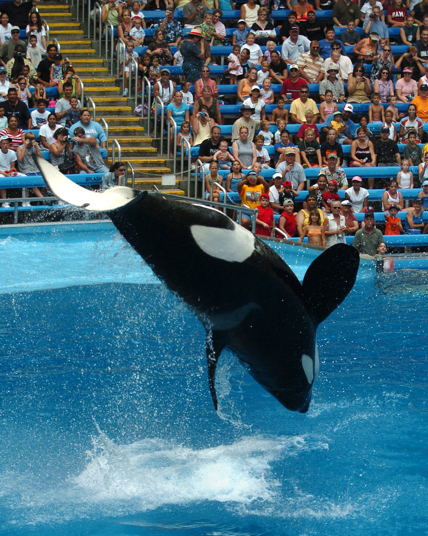 Seaworld Responds To Orca Film Flak