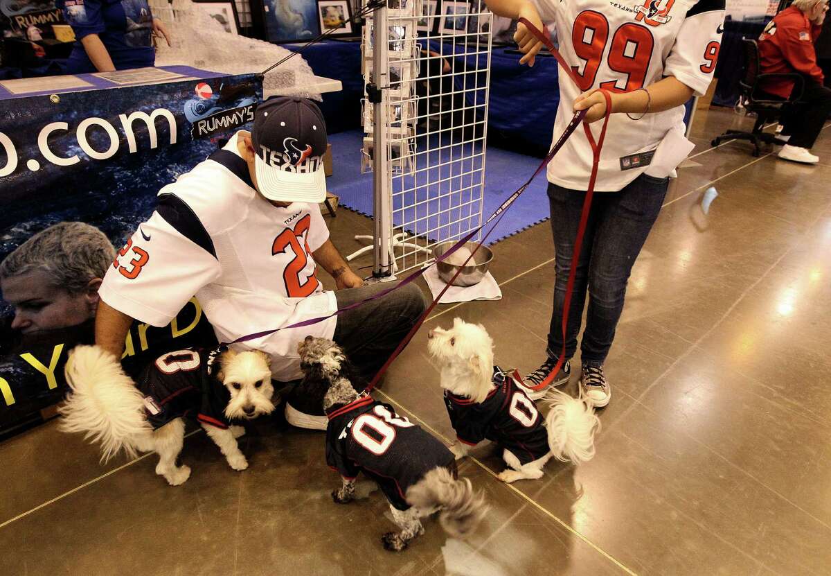 The Houston World Series Dog Shows opens Wednesday