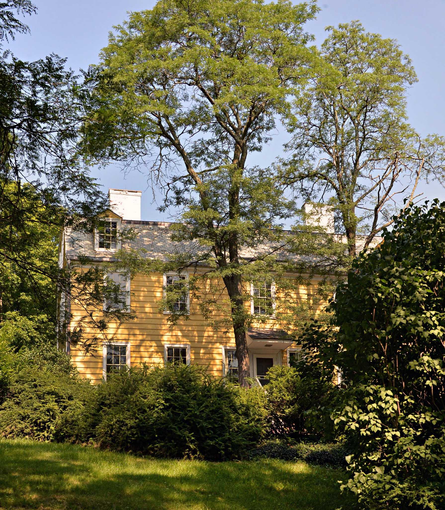 Albany mansion may be history