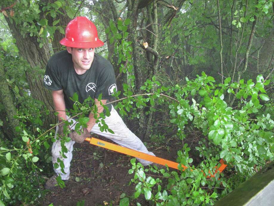 Rooting out an invasive species Times Union