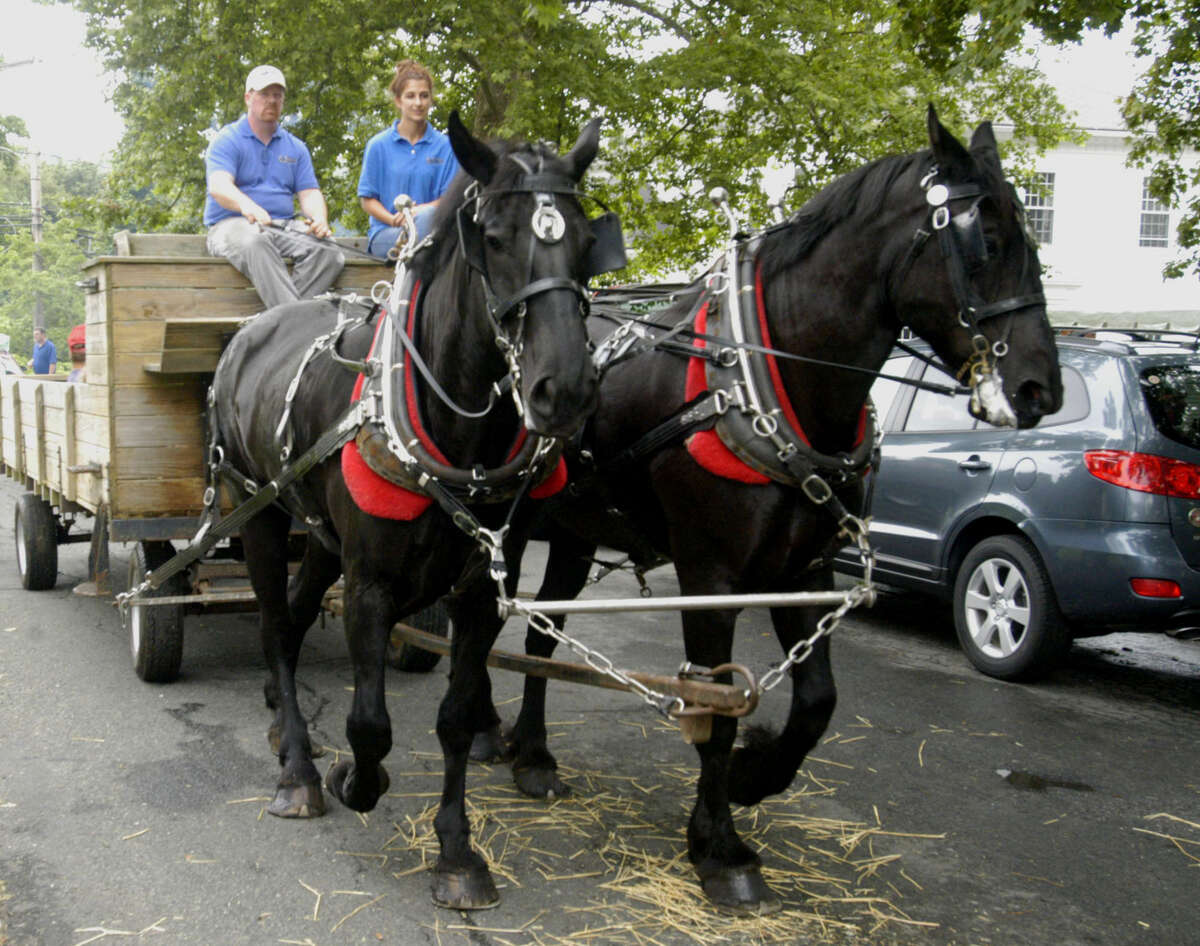Brian Lynch and intern Kate Zarbo of Utopia Percherons in Goshen guide Justin, left, and Sonny on rides around the Green for patrons of the Washington Congregational Church's annual Green Fair, July 13, 2013.