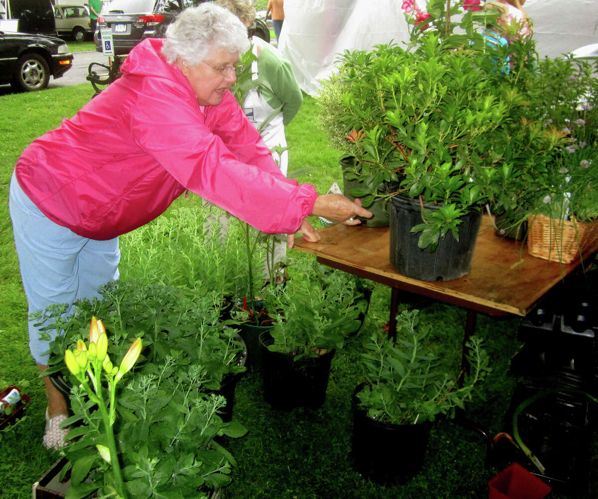 Joan Maloney of Middlebury is among the many drawn to the plant and floral offerings during the Washington Congregational Church's annual Green Fair, July 13, 2013.