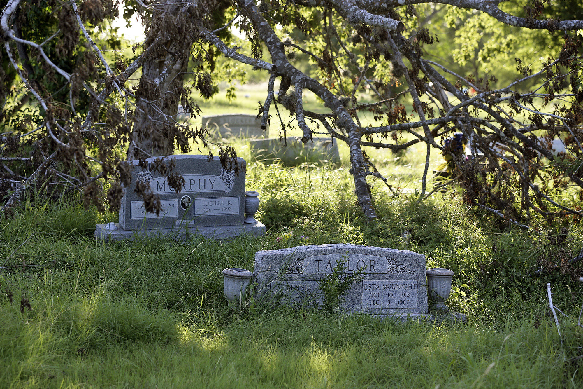 graveyard vs cemetery