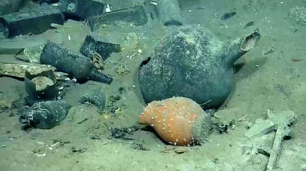 Items and sea life found in a Gulf shipwreck being explored by Texas A&M University at Galveston research scientists and National Oceanic and Atmospheric Administration experts. (Ocean Exploration Trust/Meadows Center for Water and the Environment at Texas State University photo)