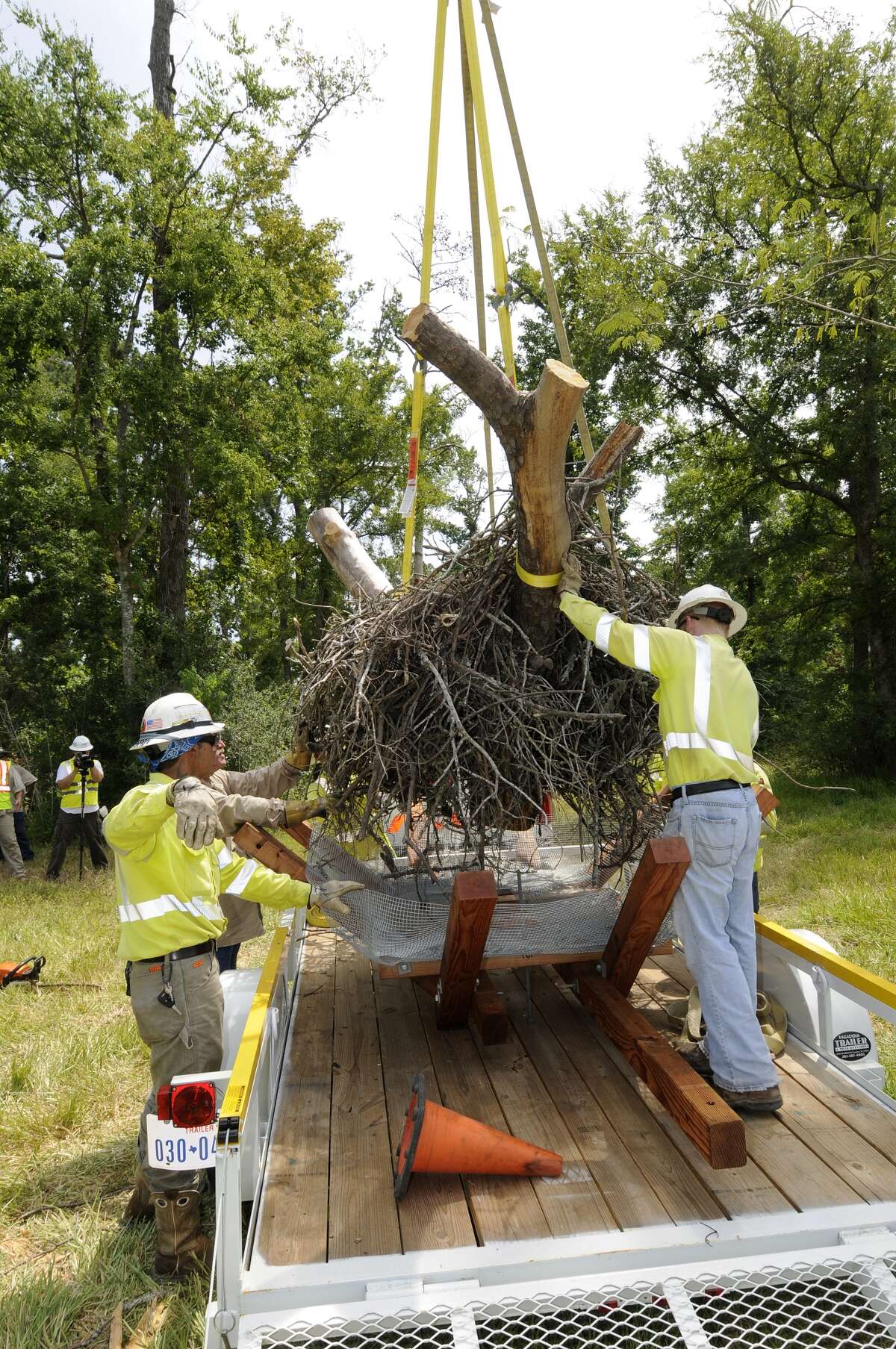centerpoint-moves-huge-nest-to-save-bald-eagles-in-humble