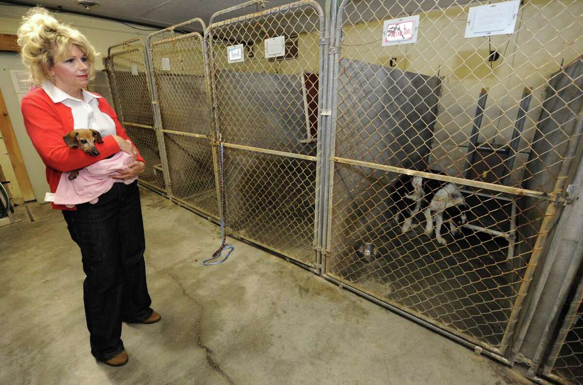 Floods slow shelter's rebound