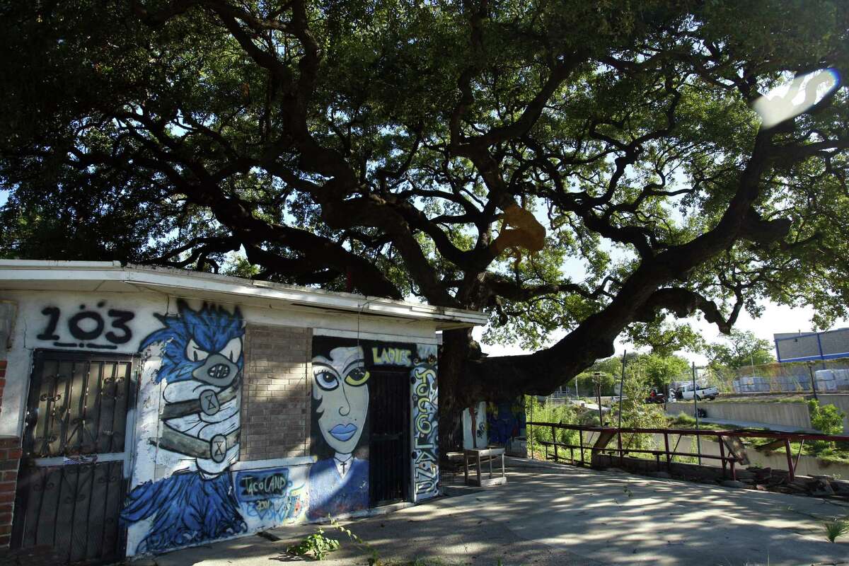 A hoped-for summer reopening for Tacoland has been delayed. Entrepreneur Chris Erck says new plans regarding a Heritage Live Oak have to be approved.