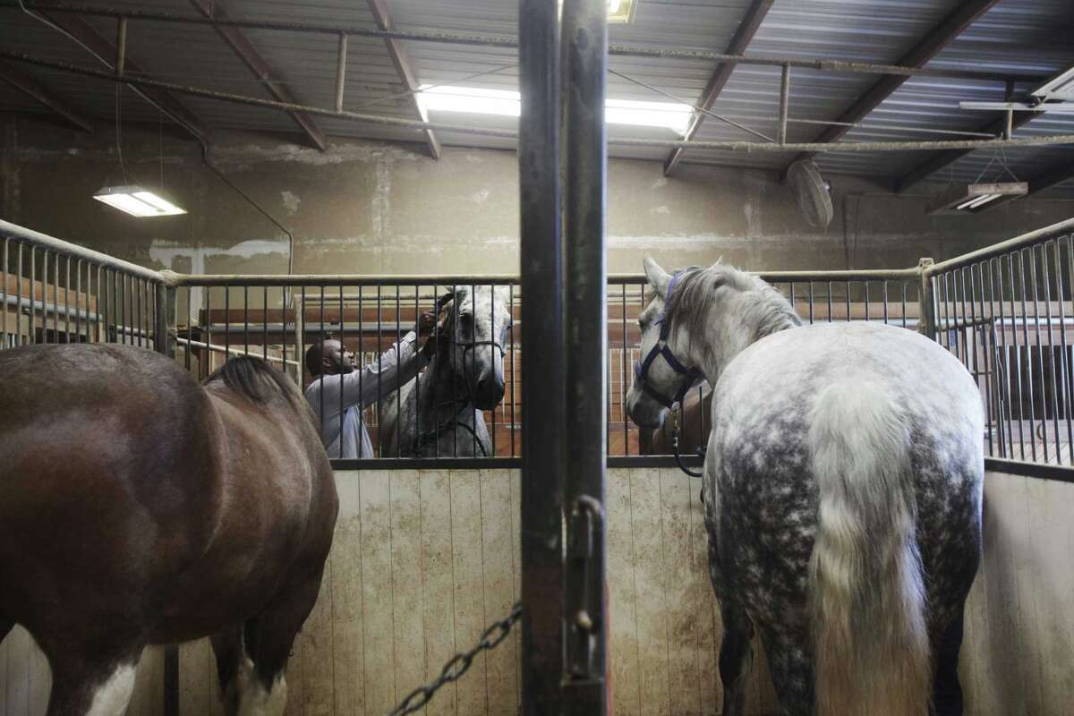 City Council approves new horse carriage regulations