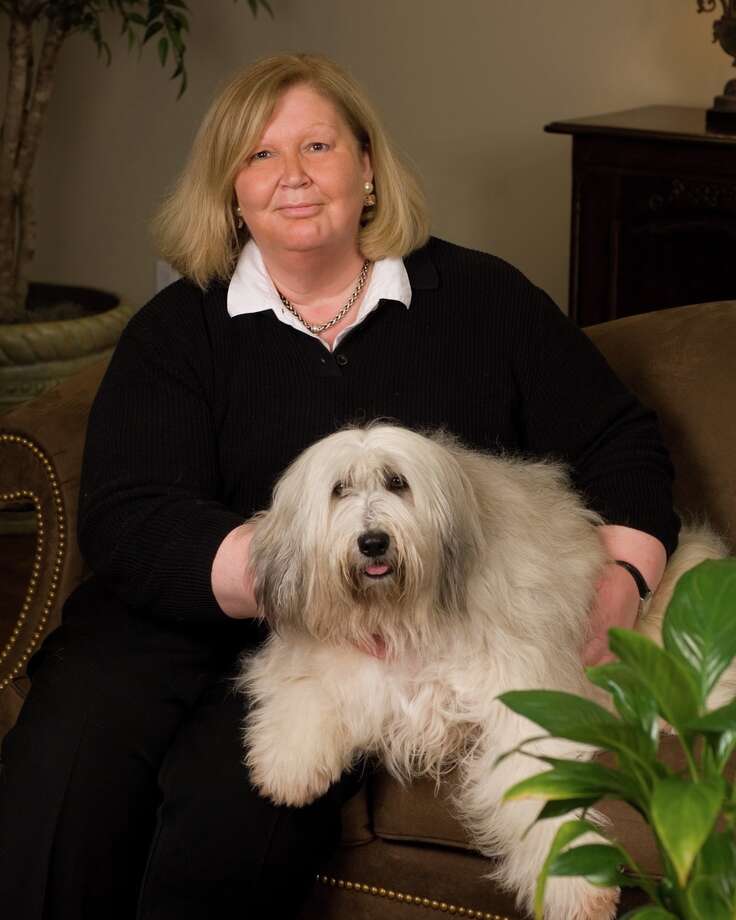 houston shaggy dog rescue houston shaggy dog rescue