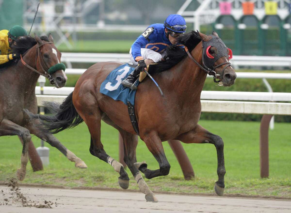 Alpha looking for magic