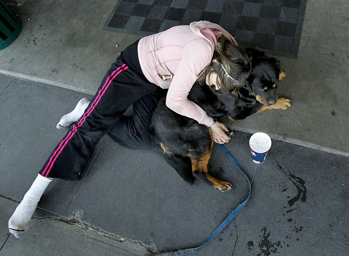 Brenda Clark comforts her dog Bear after Bear stepped on a cigarette in front of the Mission Hotel. Brenda Clark is fighting with the management of the Mission Hotel over her supportive housing room which she says is infested with cockroaches. The hotel is trying to evict the sometimes homeless woman and her dog named Bear.