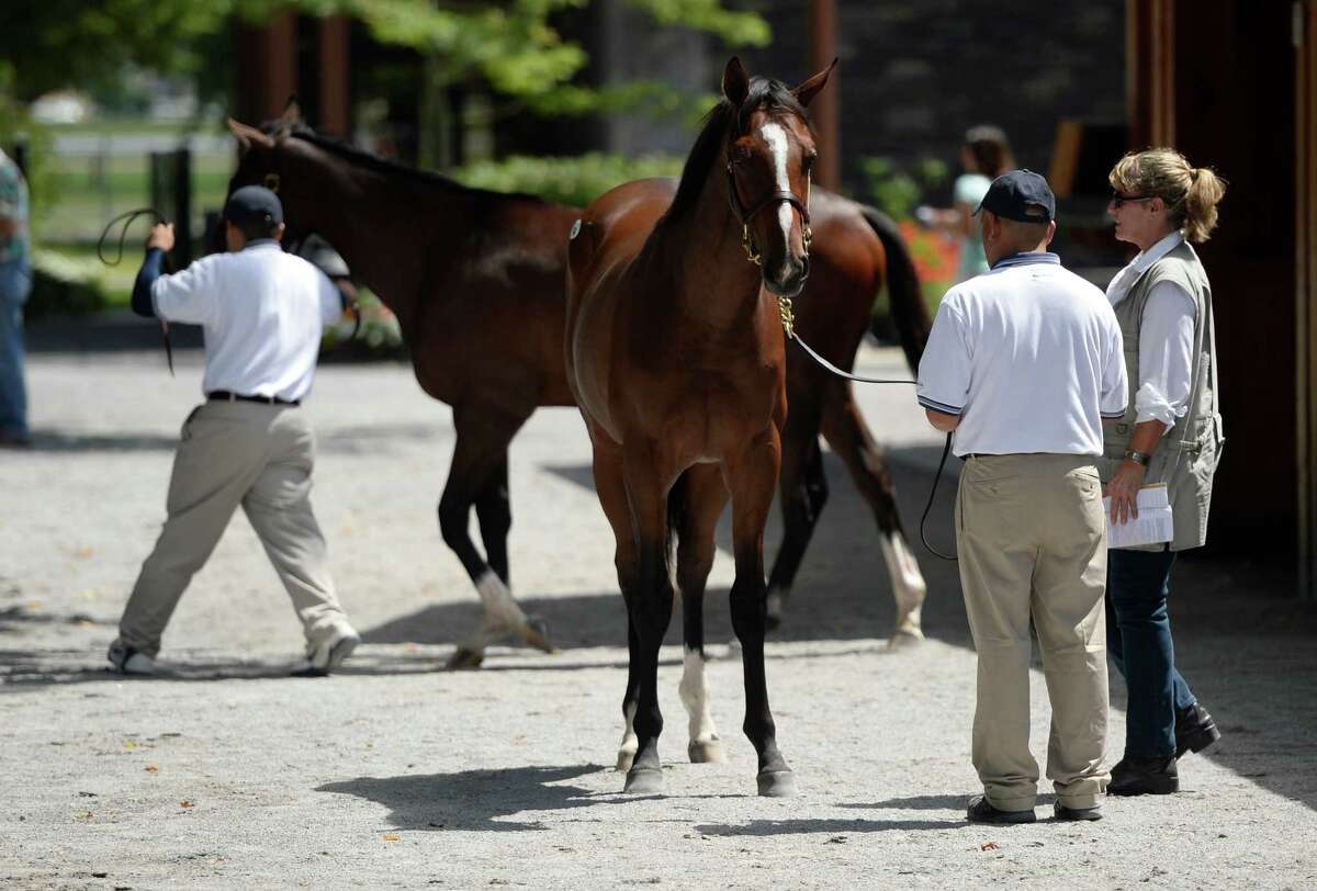 Party time at FasigTipton horse sale
