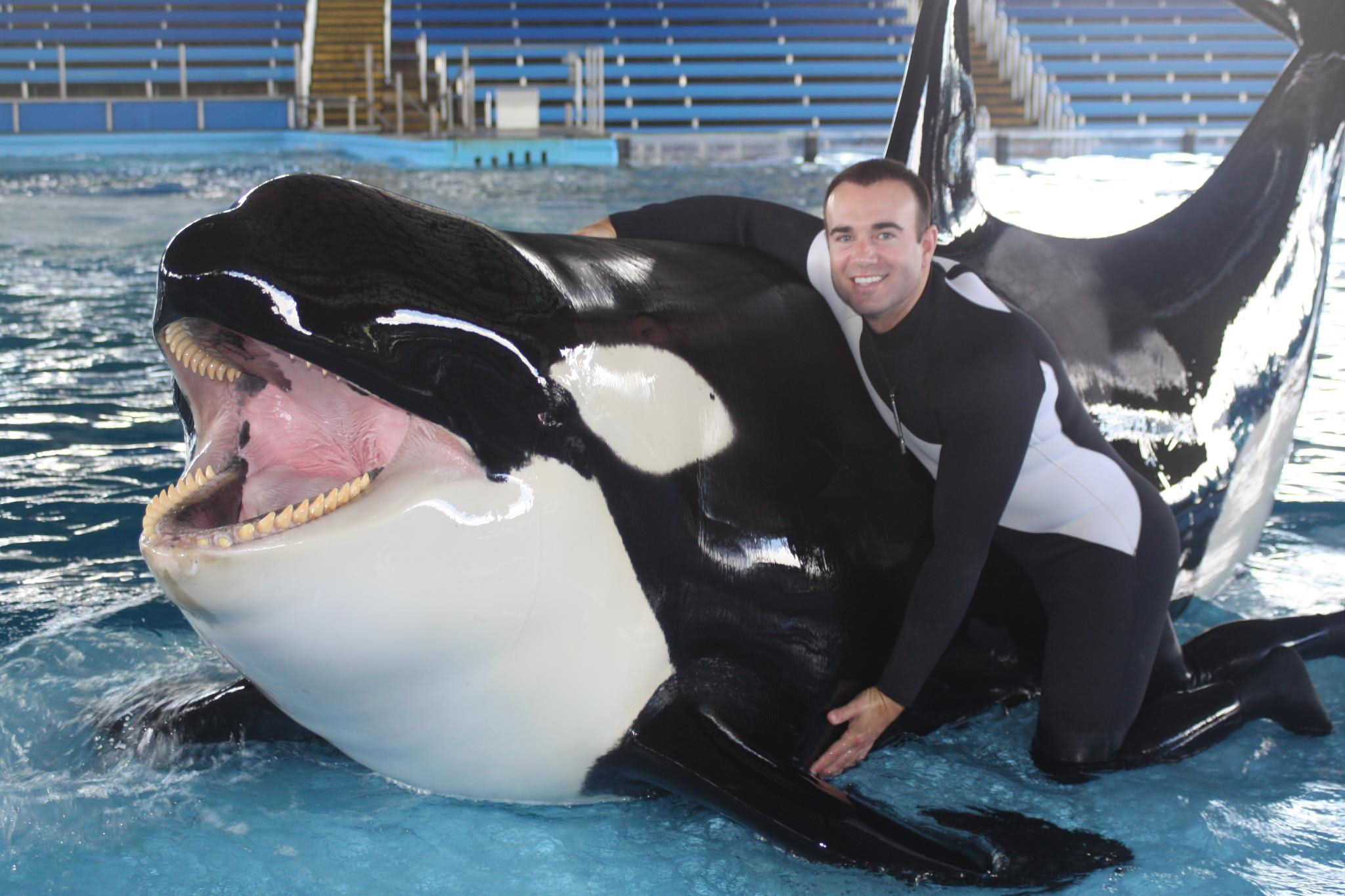When John Hargrove started his career as a killer whale trainer at Sea Worl...
