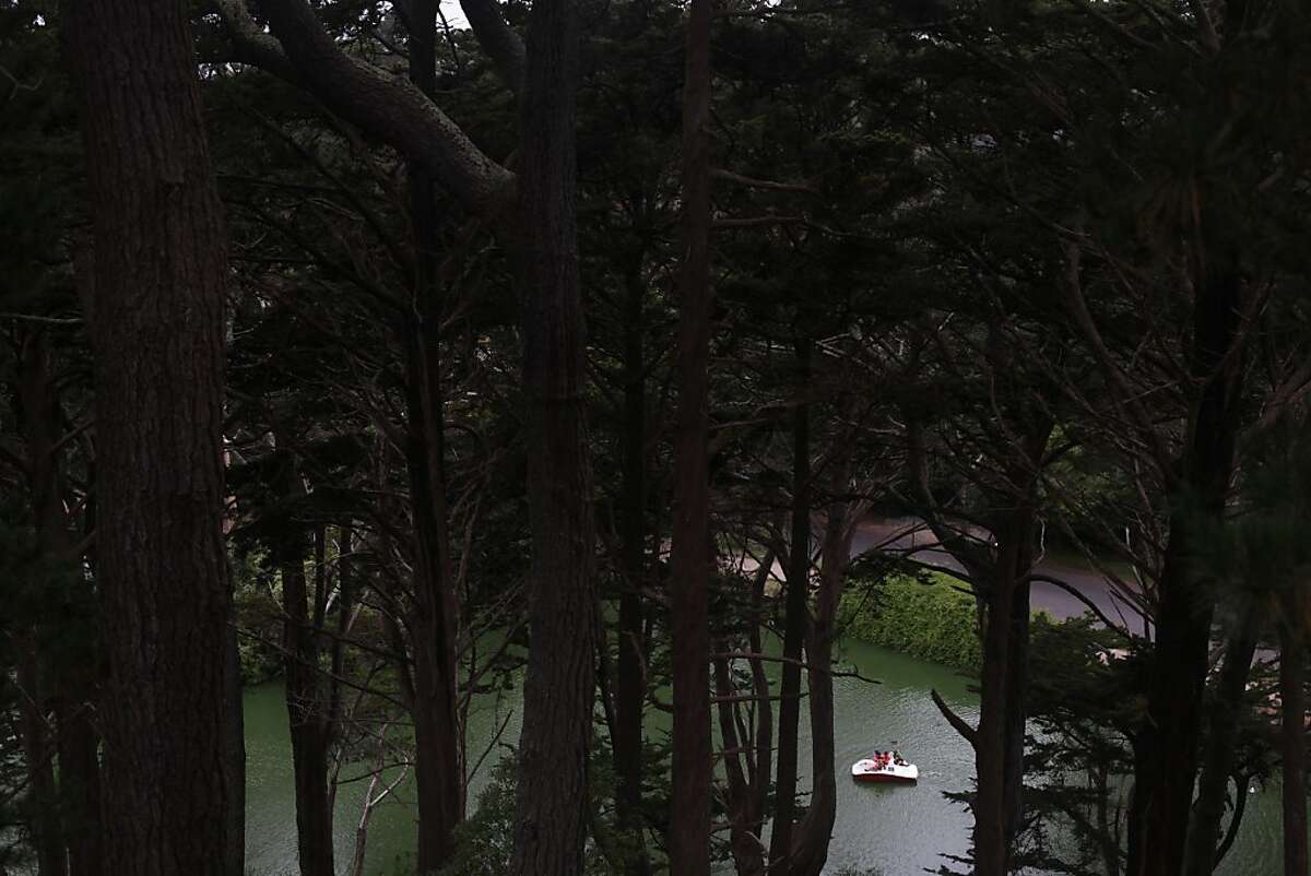 People enjoy rented paddle boats at Stow Lake near Strawberry Hill on July 25, 2013 in San Francisco, Calif.