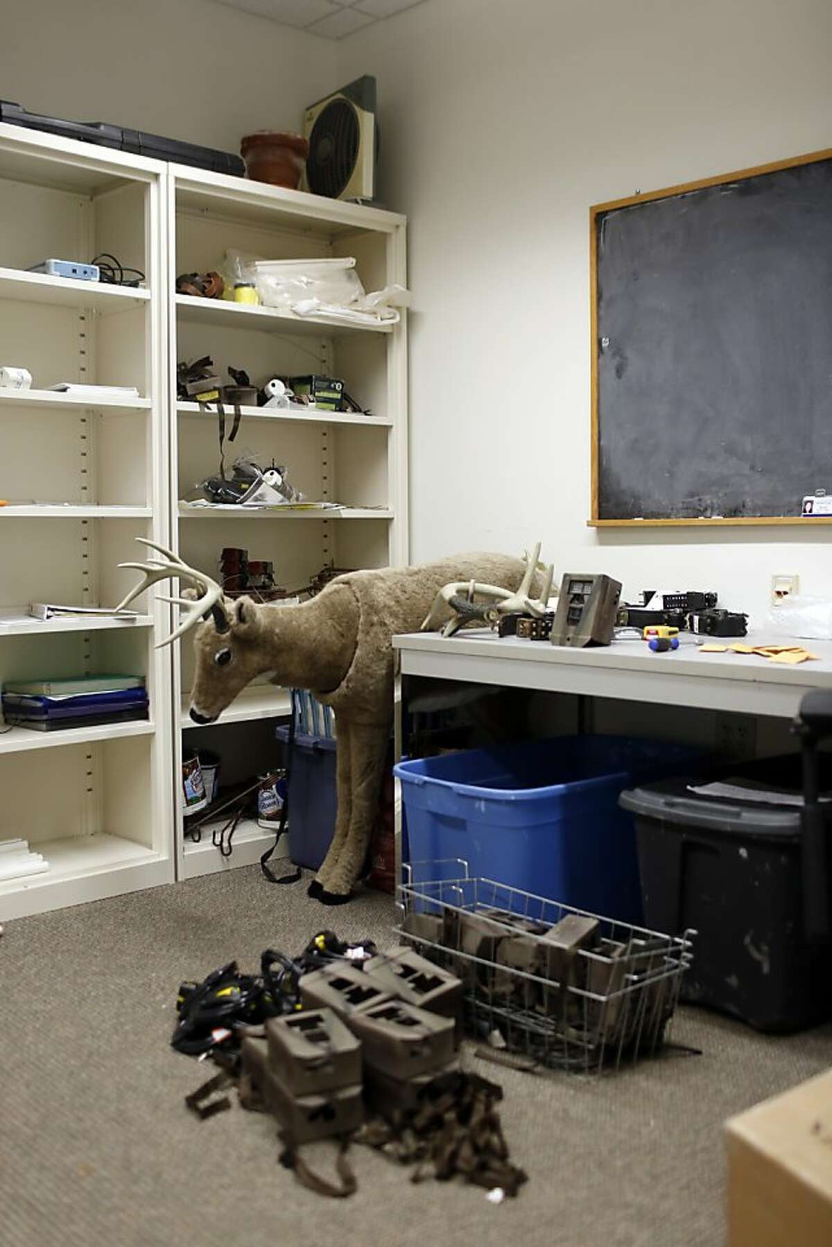 University of California Santa Cruz Associate Professor of Environmental Studies Chris Wilmer workroom filled with tools used to observe and track mountain lions on the UCSC campus in Santa Cruz, Calif. on June 24, 2013.