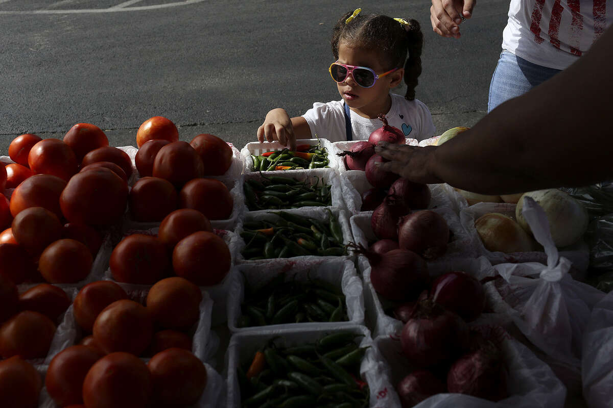 Bountiful fruits of August's sunshine