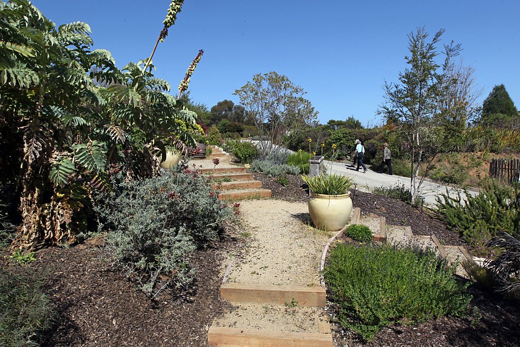 Little known UC Santa Cruz Arboretum