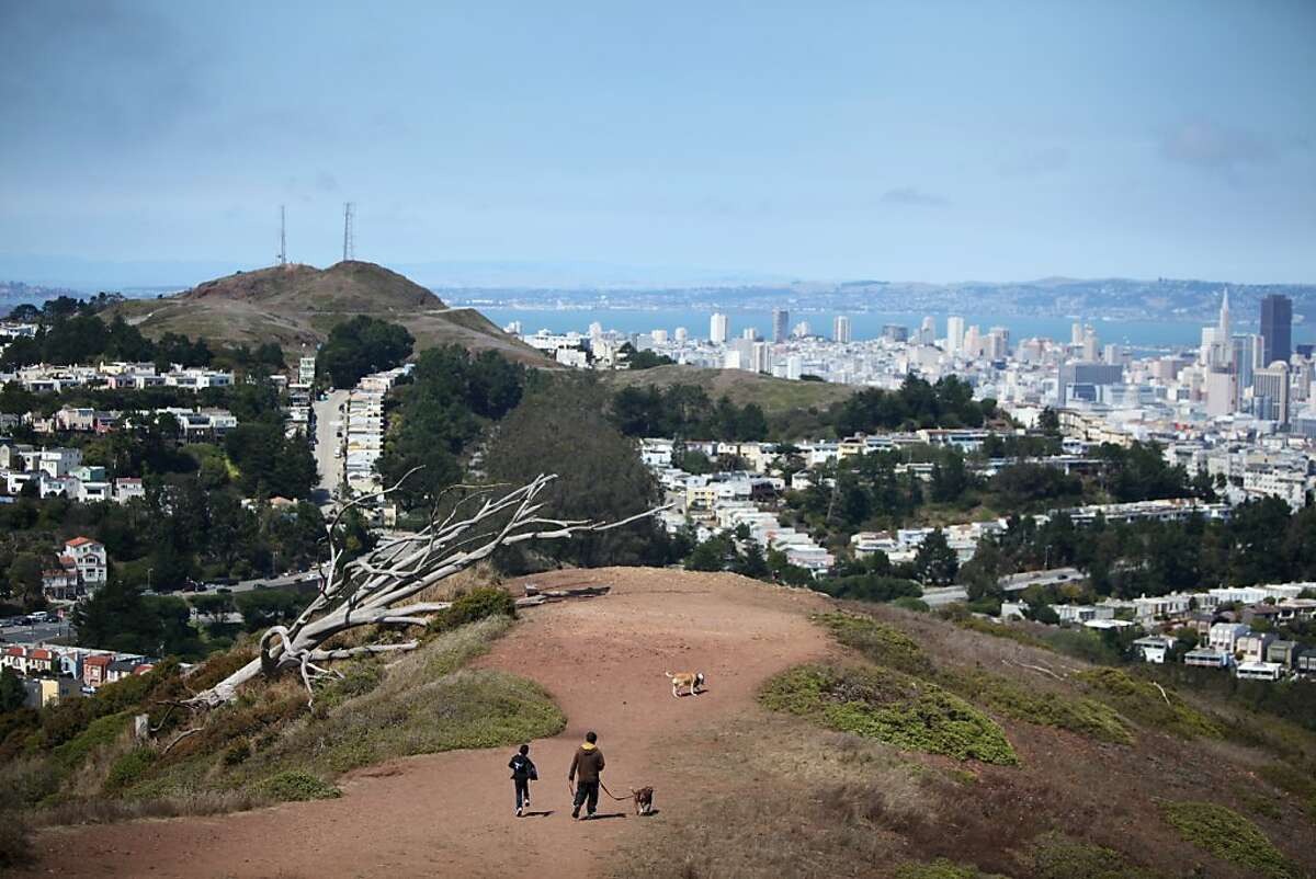 2013年8月8日，加利福尼亚州旧金山，安吉尔·巴斯克斯(左)和他的父亲米格尔以及他们的两只狗在戴维森山顶附近散步。