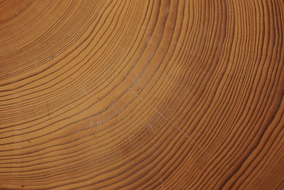 Ancient redwoods in growth spurt of a lifetime