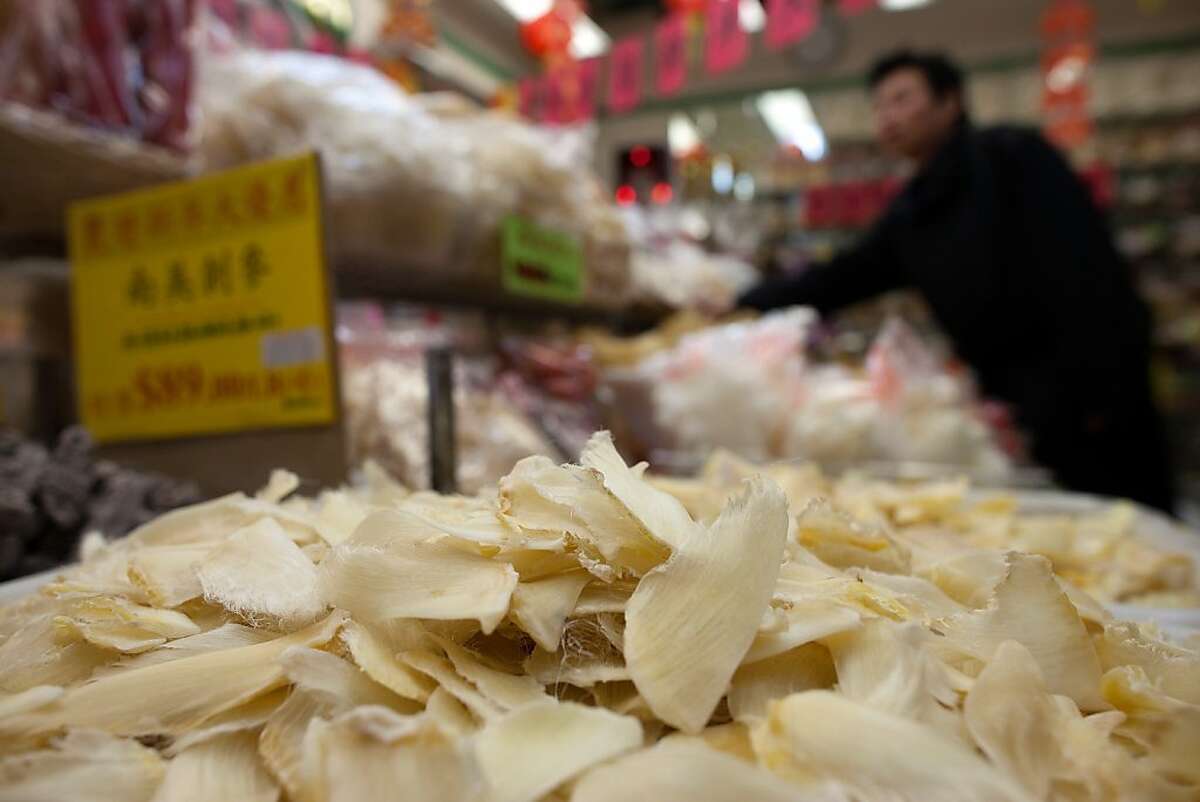 Shark fins on sale at the Stockton Seafood Center, Inc in Chinatown on February 14, 2011 in San Francisco Calif. Photograph by David Paul Morris/Special to the Chronicle