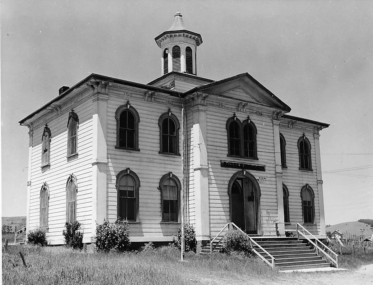 Bodega 'Birds' festival to take flight