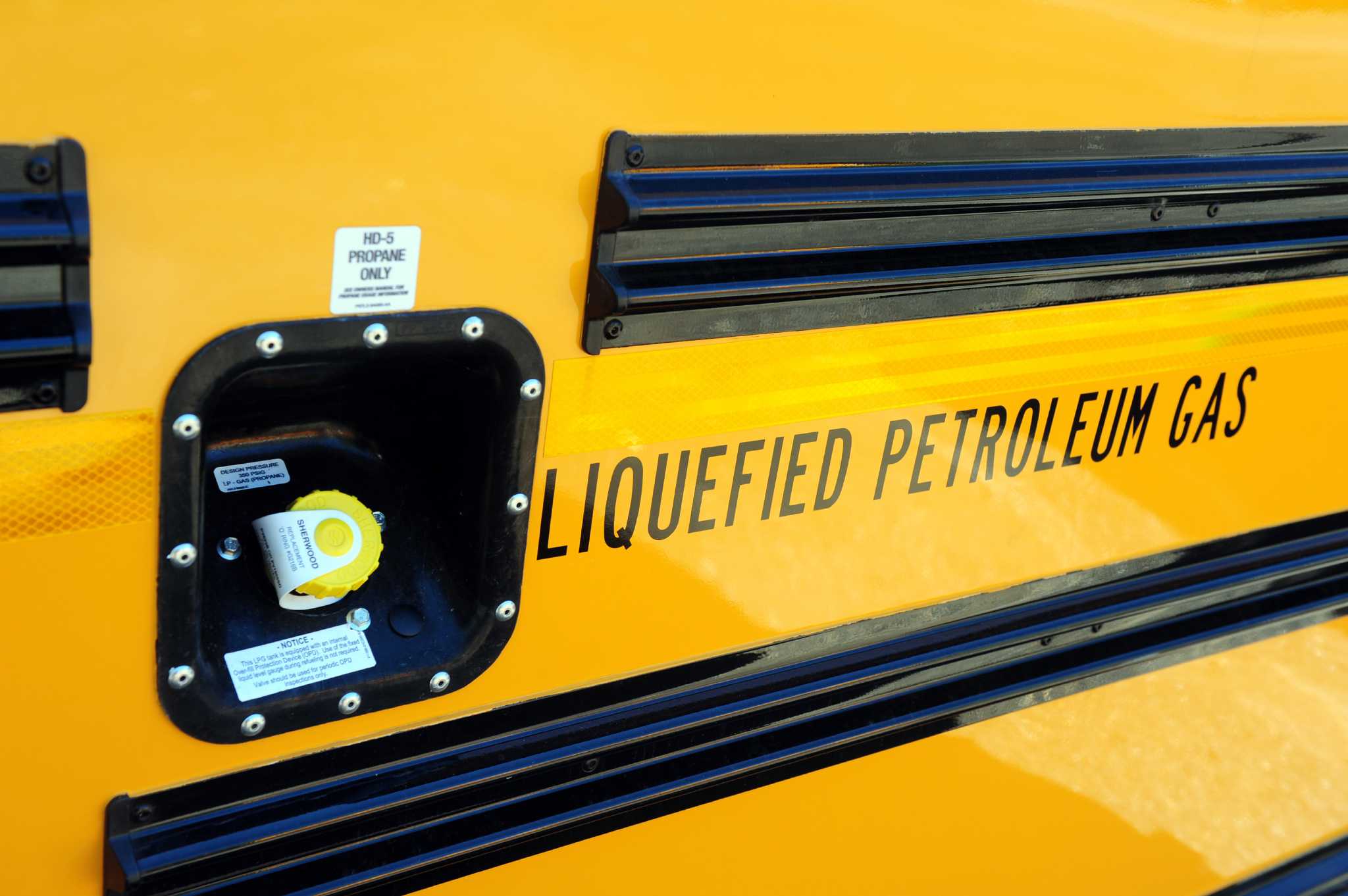 Shelton swaps yellow school buses for \, image size:2048x1362