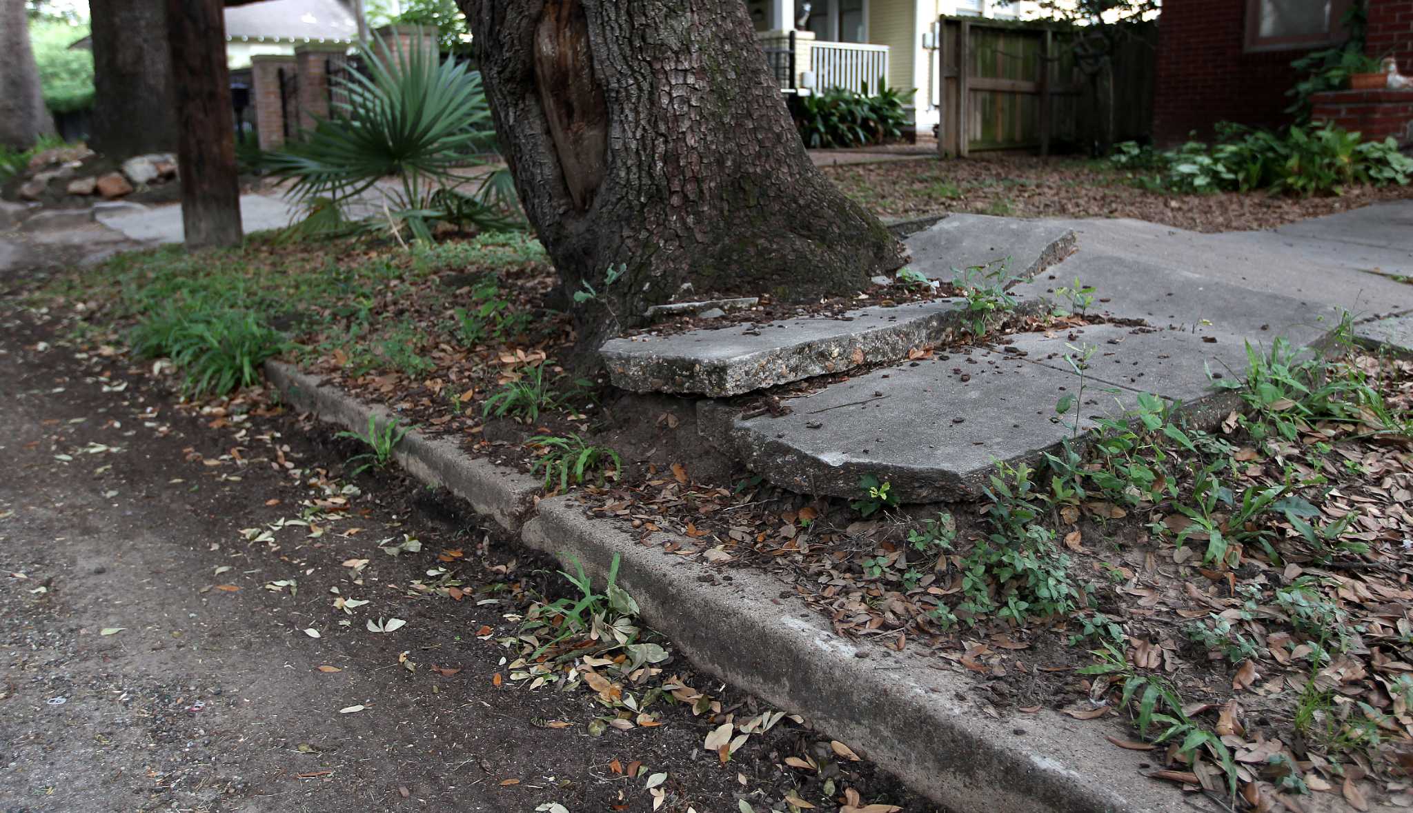 Make Montrose Sidewalks Safe Houstonchronicle Com