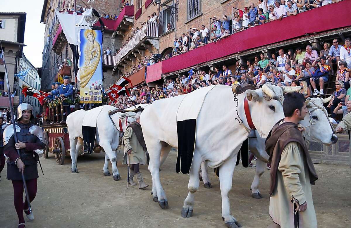 the-world-s-most-dangerous-horse-race