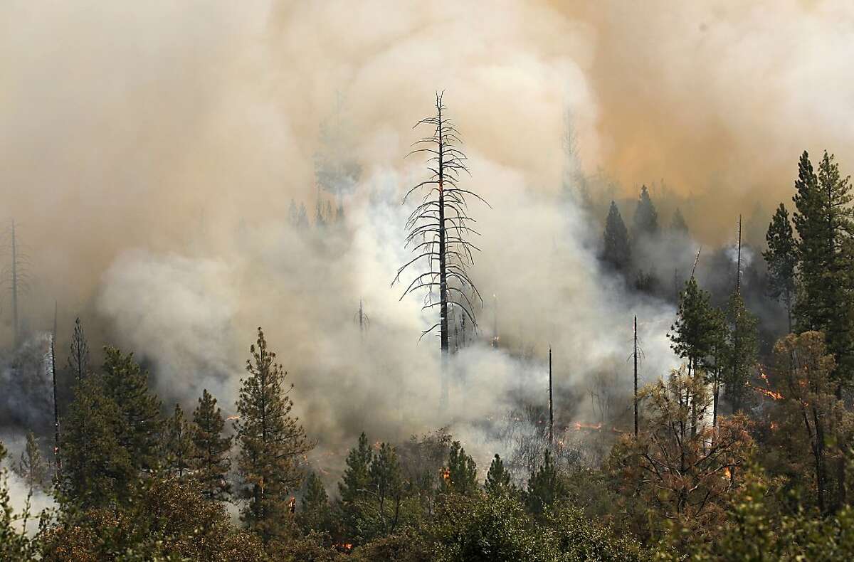 Fire burns near the Tuolumne Trails resort off Ferretti Rd. in Groveland, Ca., as the 16,000 acre Rim Fire continues to grow on Wednesday August 21, 2013.