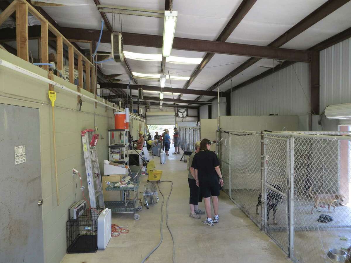 Fans had been brought in to cool dogs in the covered section of the Canyon Lake Animal Shelter in this photo from last week. On Wednesday, a donated cooling system was being installed.
