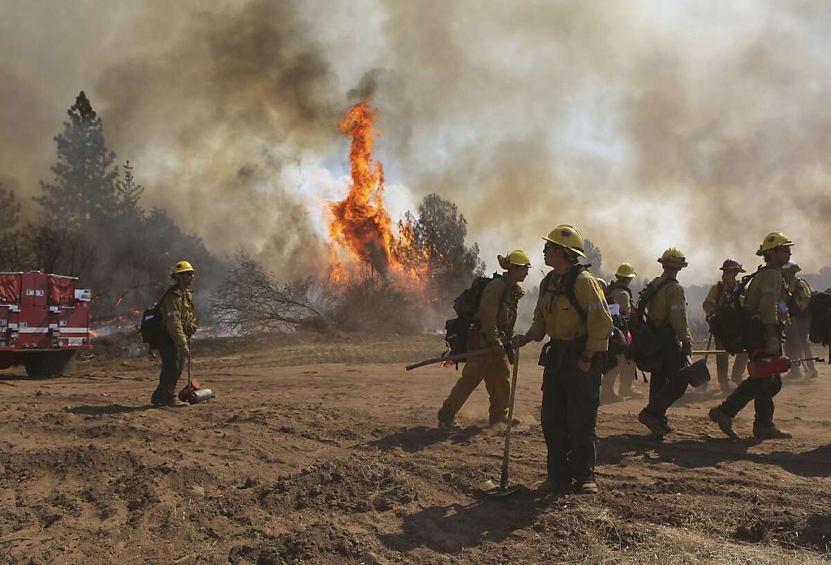 A fire crew works on a back-fire to prevent the wildfire from crossing Ferretti Rd. on Thursday August 22, 2013, as the Rim Fire has grown to over 36,000 acres in Groveland, Calif.