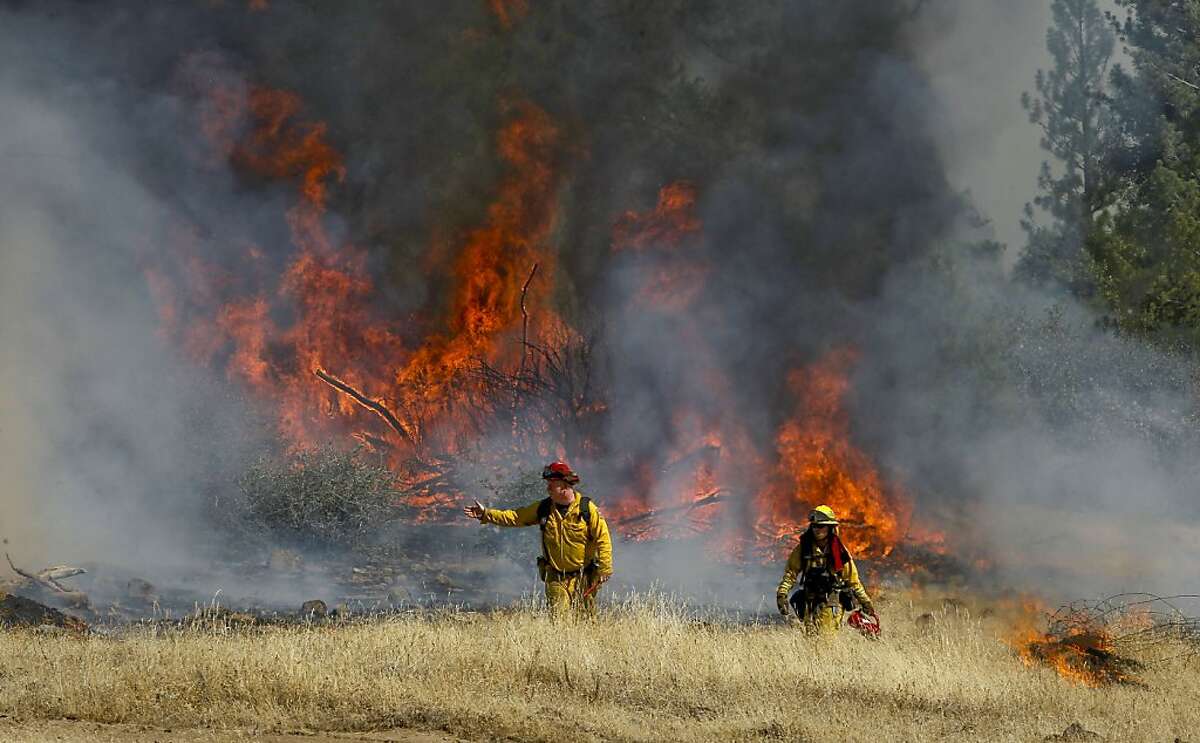 Fire crews set back-fires to prevent the wildfire from crossing Ferretti Rd. on Thursday August 22, 2013, as the Rim Fire has grown to over 36,000 acres in Groveland, Calif.