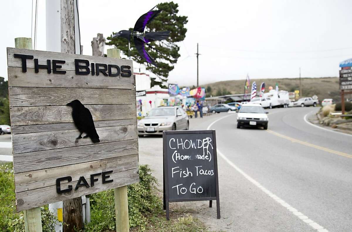 Bodega marks flight of 50 years since 'The Birds'
