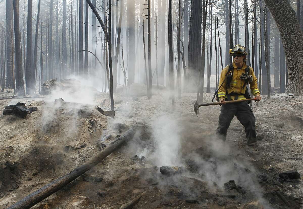 A firefighter uses a handtool to extinguish a hot spot from the Rim Fire near Camp Mather on Friday, Aug. 23, 2013. Burning near Yosemite National Park, the wildfire has scorched over 150 square miles of terrain.