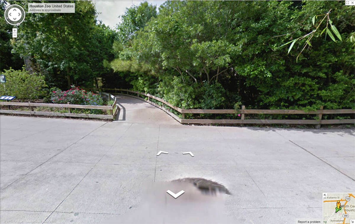Houston Zoo mongooses take on a ball pit and it's awesome